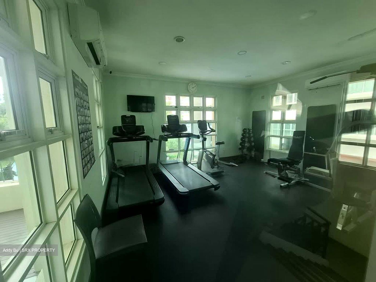 Evergreen Park (D19), Apartment #536466191